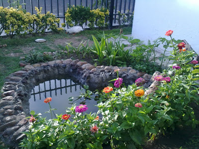 17062010595.jpg