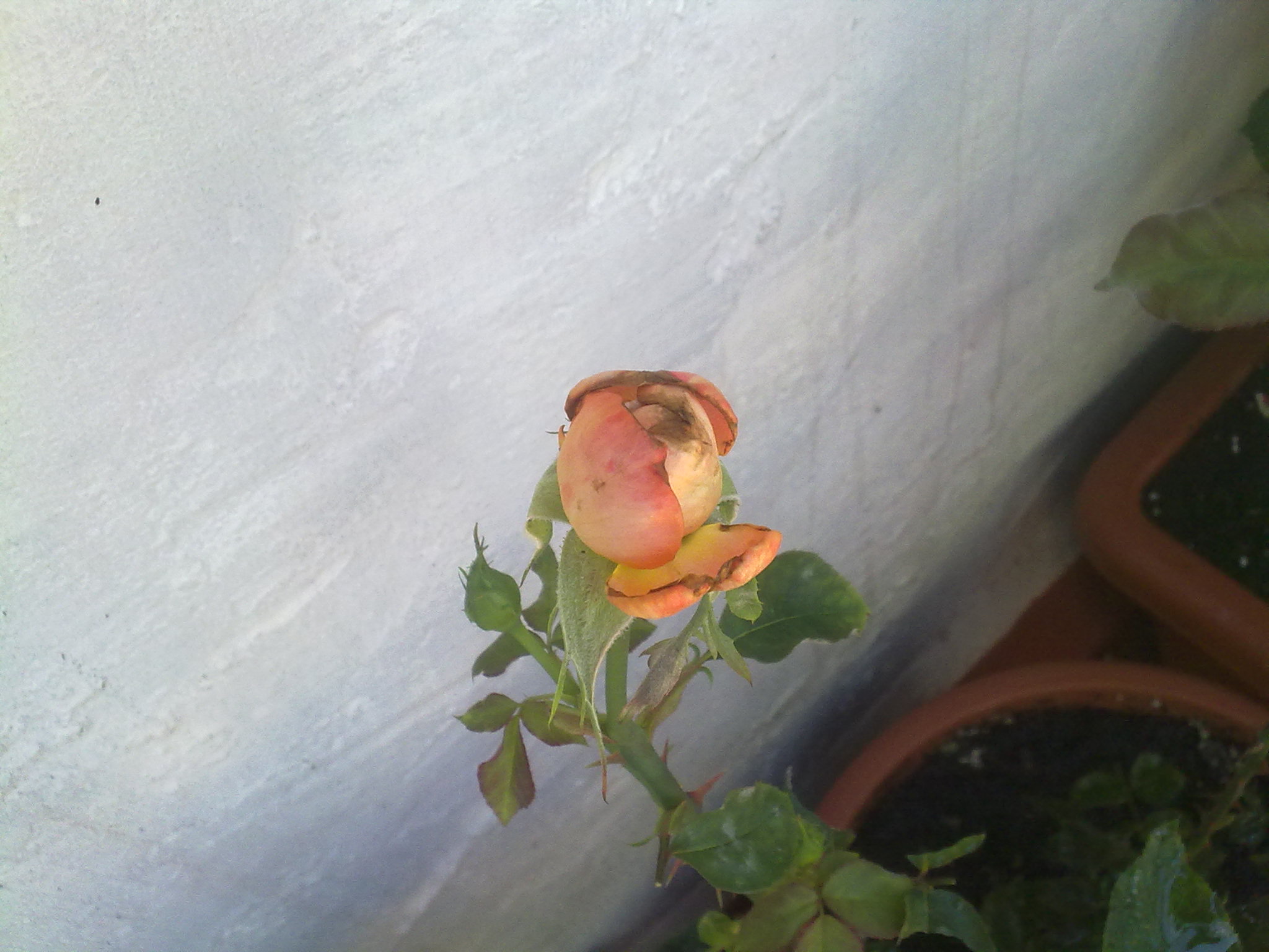 170620111939.jpg