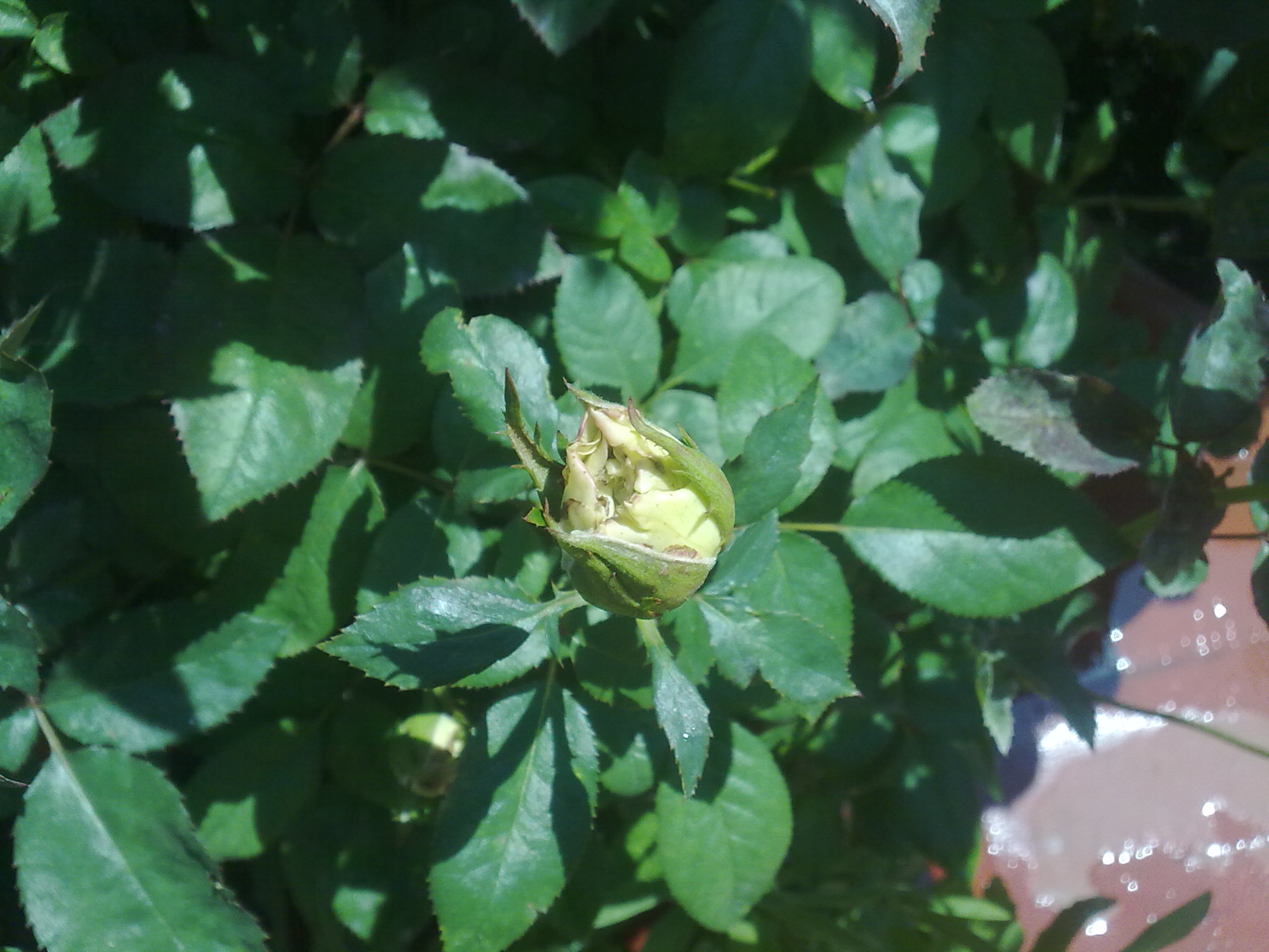 170620111941.jpg