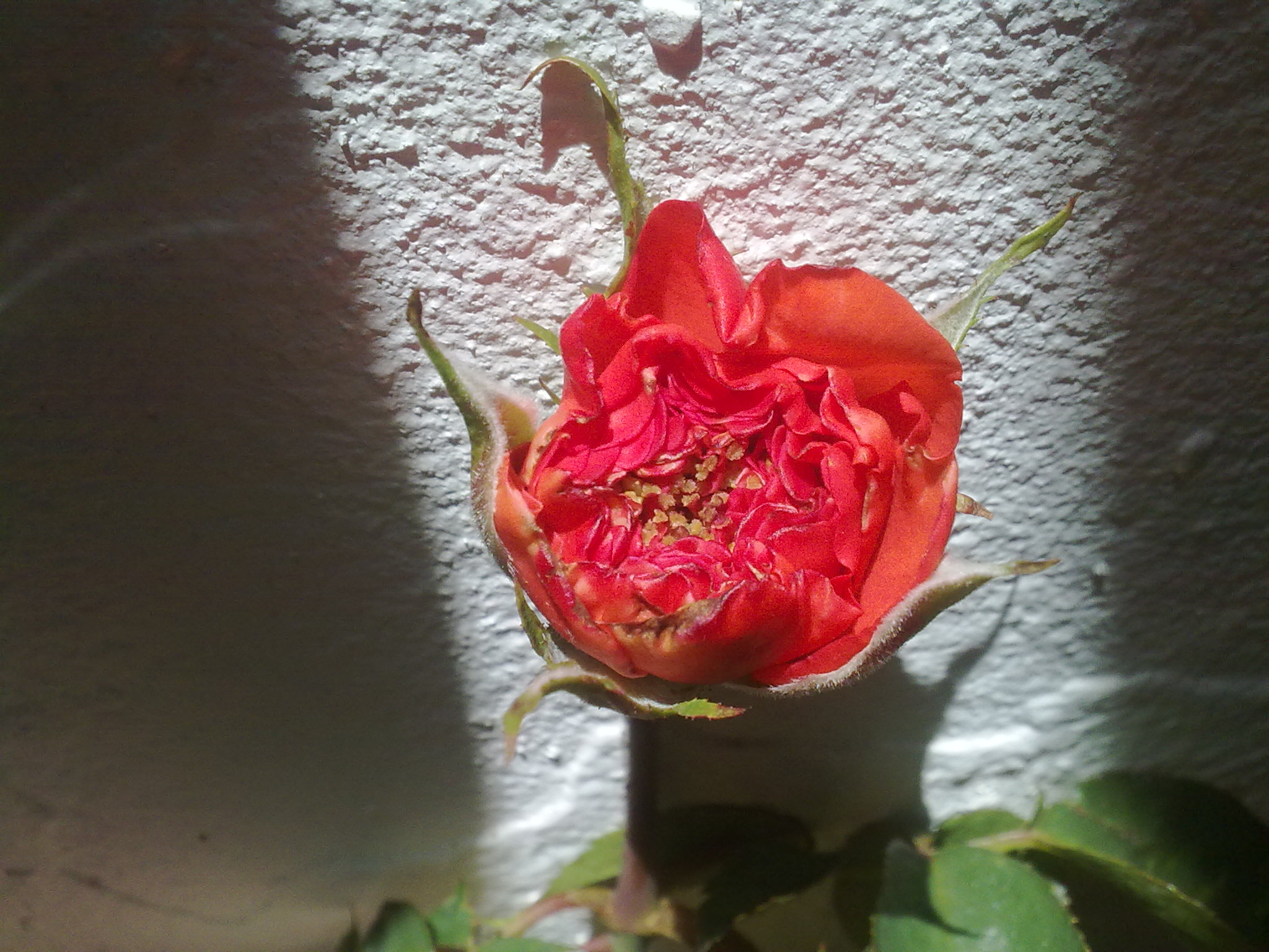 170620111958.jpg