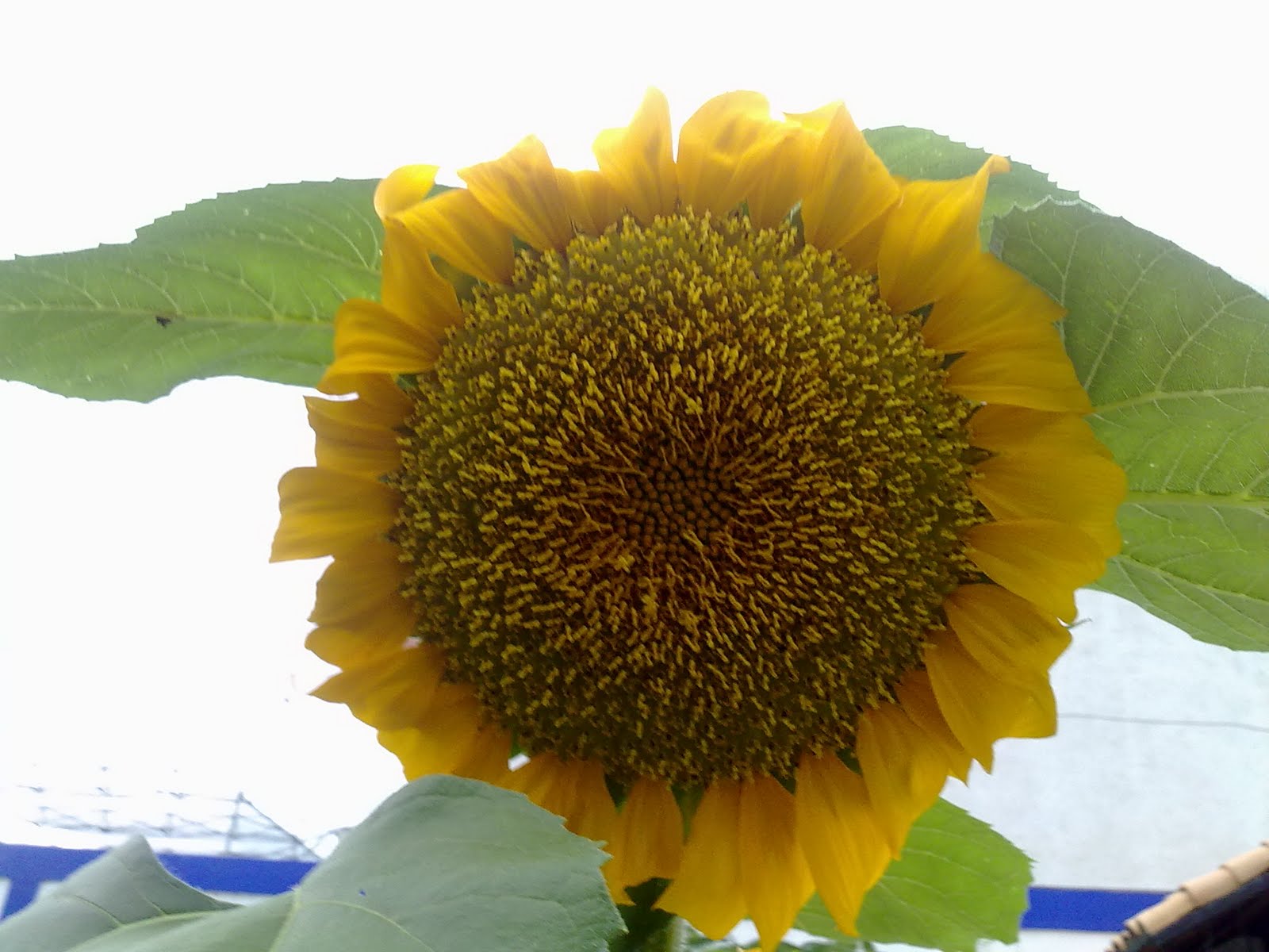 170720101510.jpg