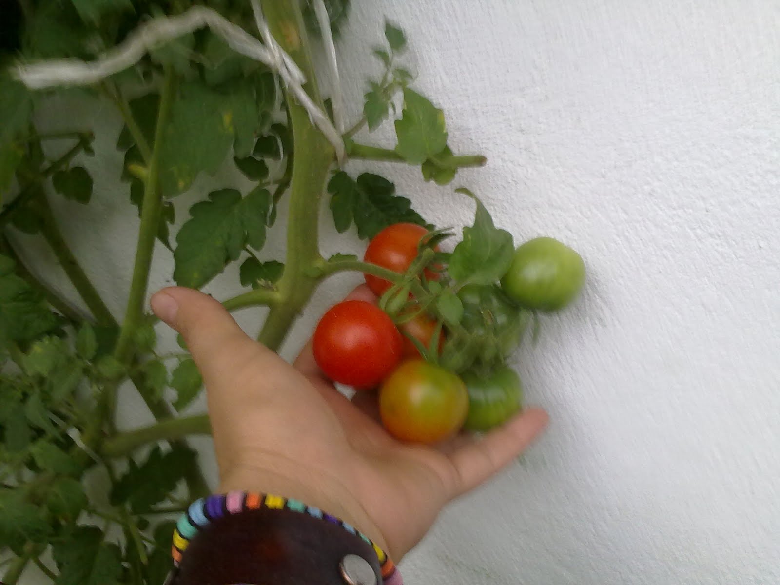 170720101513.jpg