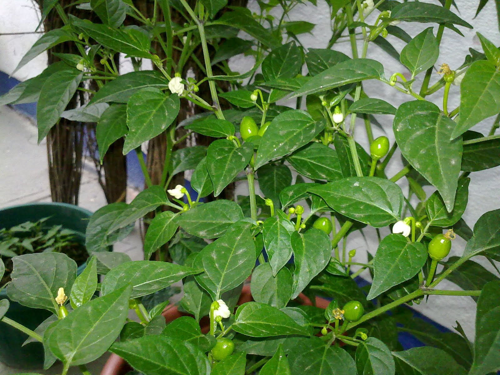 170720101519.jpg