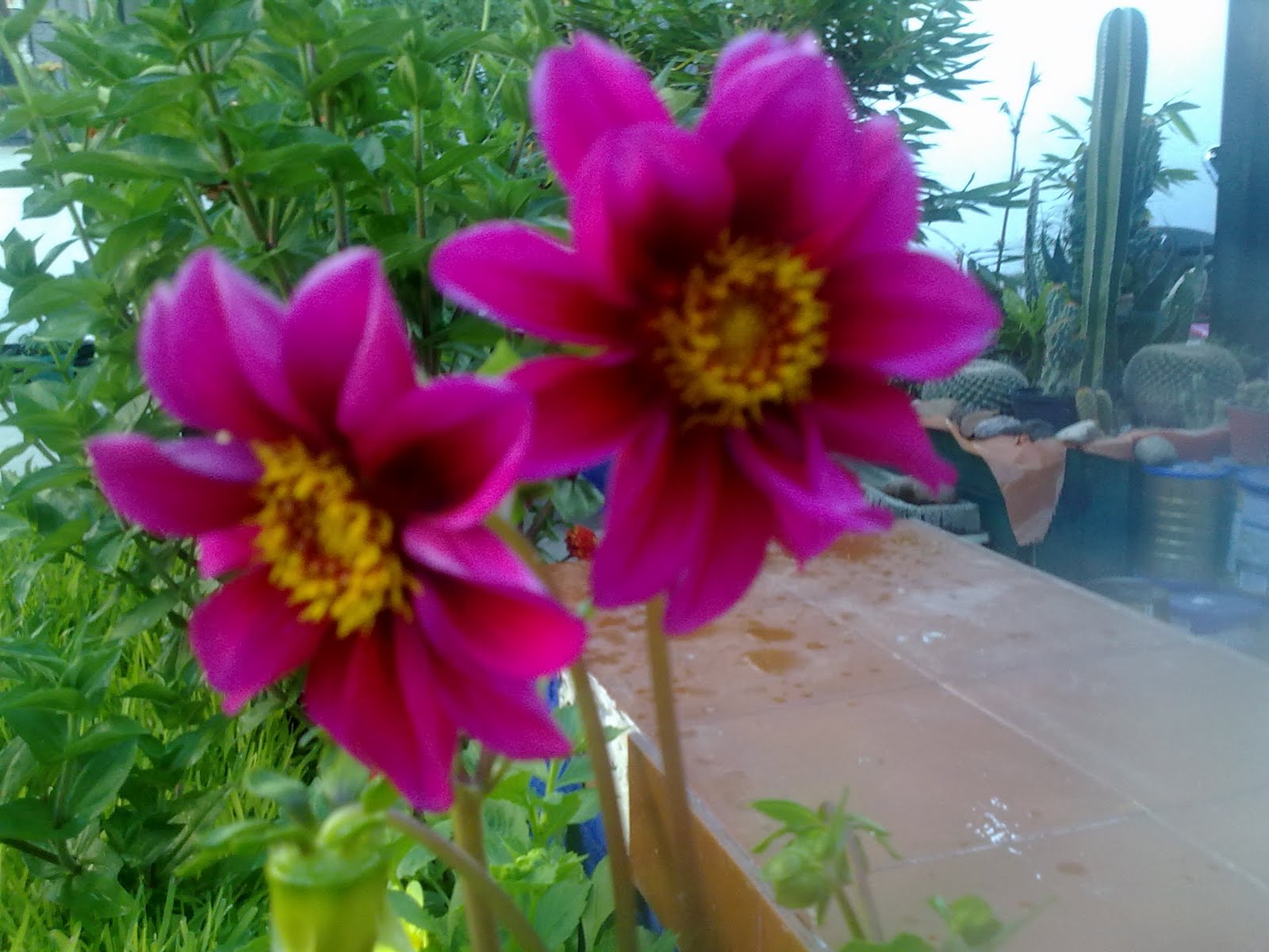 170820102754.jpg