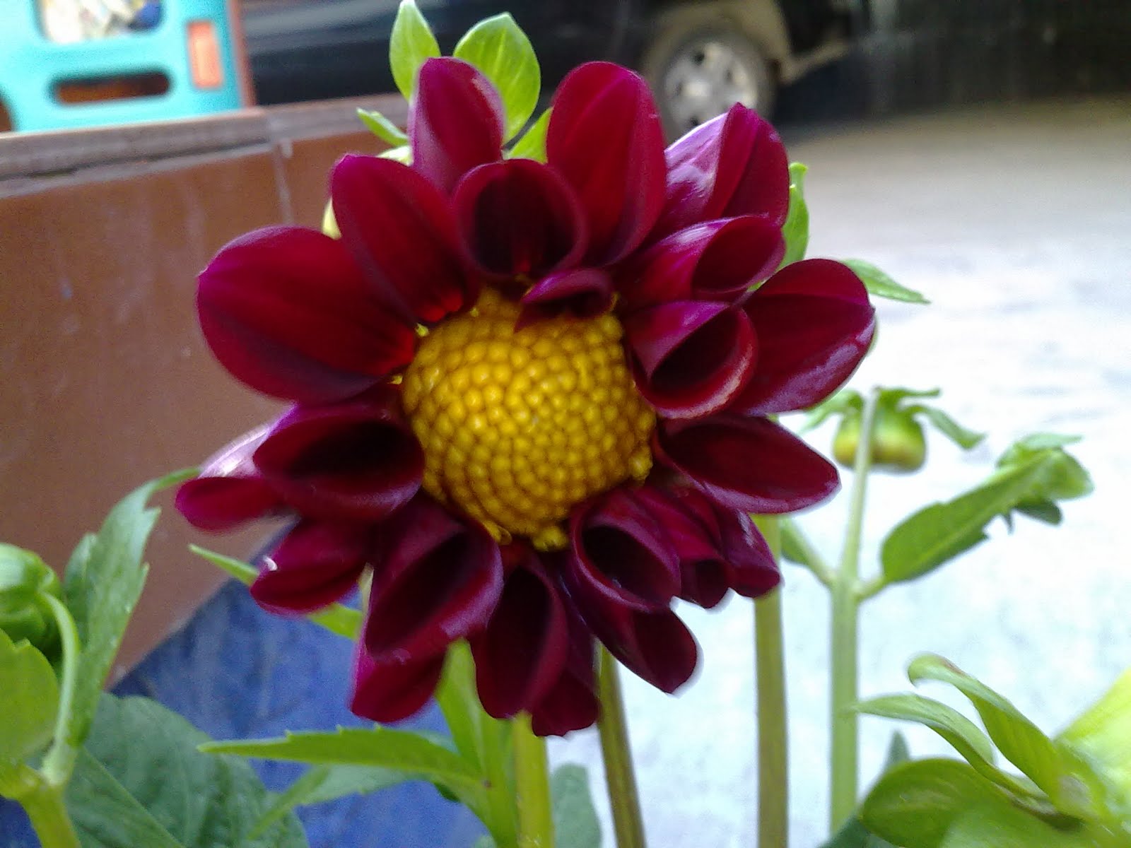170820102756.jpg