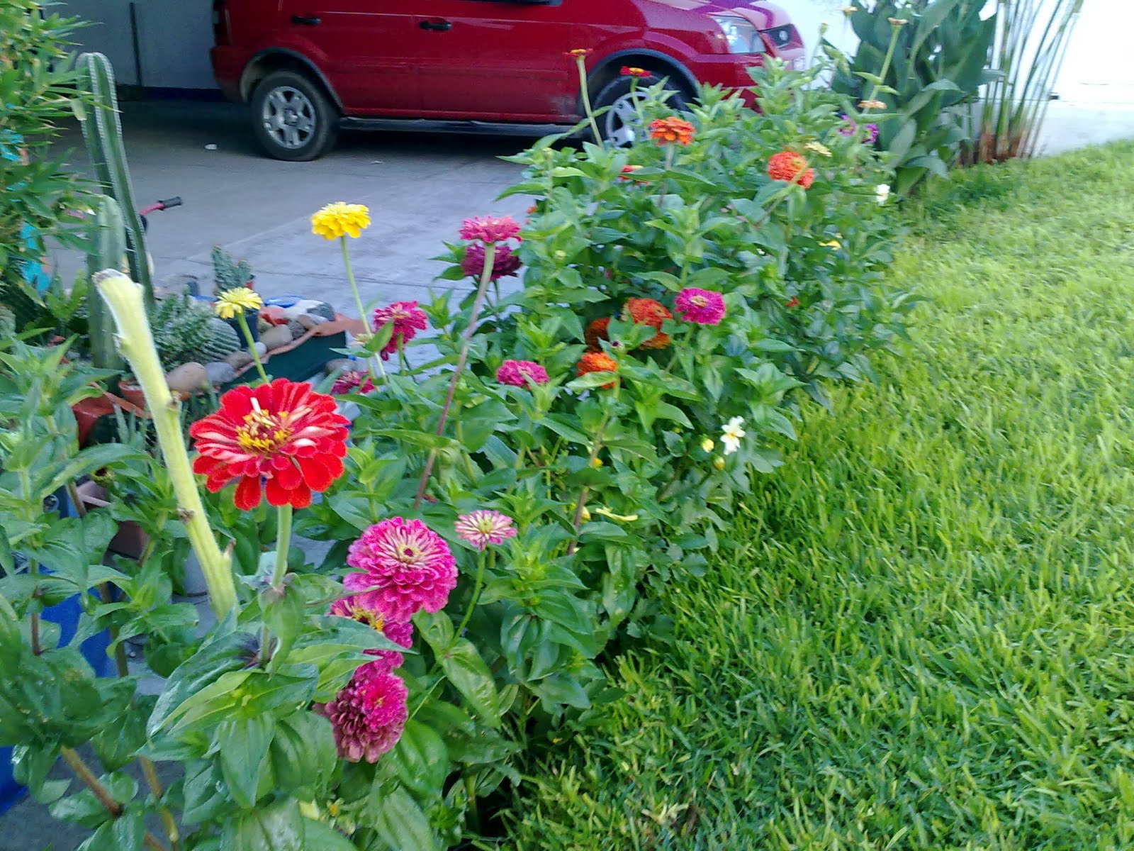 170820102759.jpg