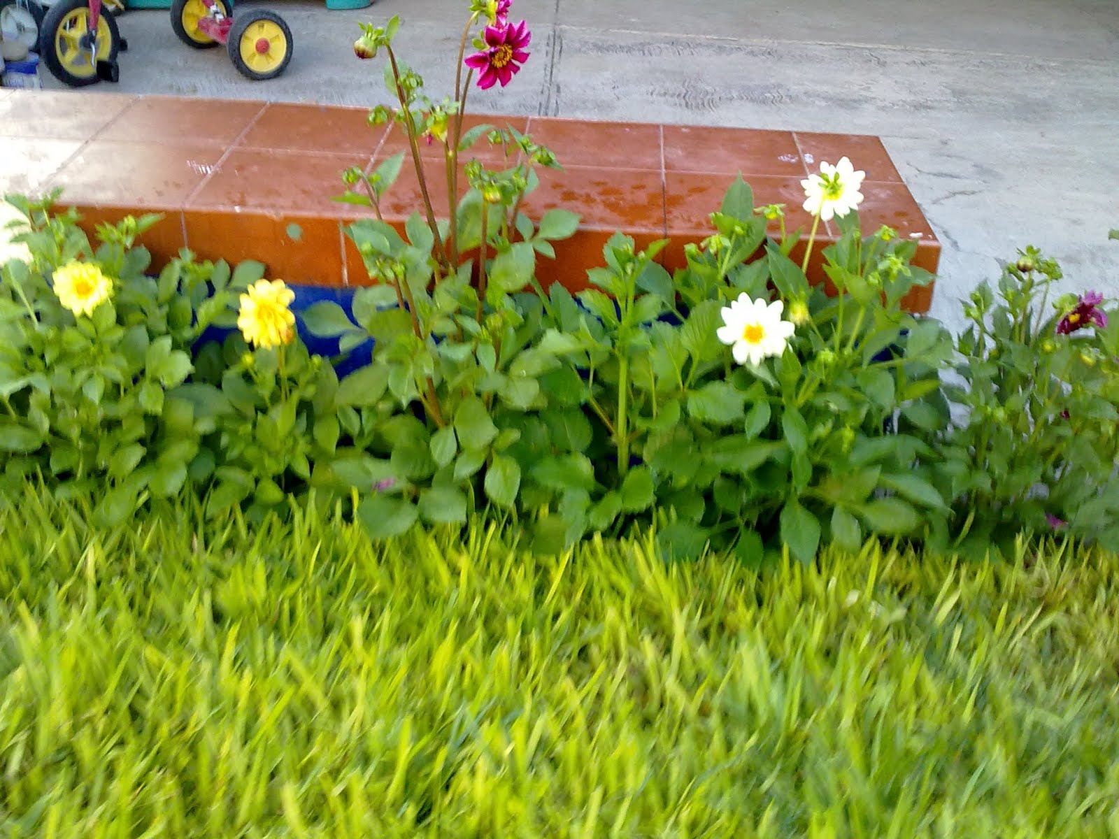 170820102761.jpg