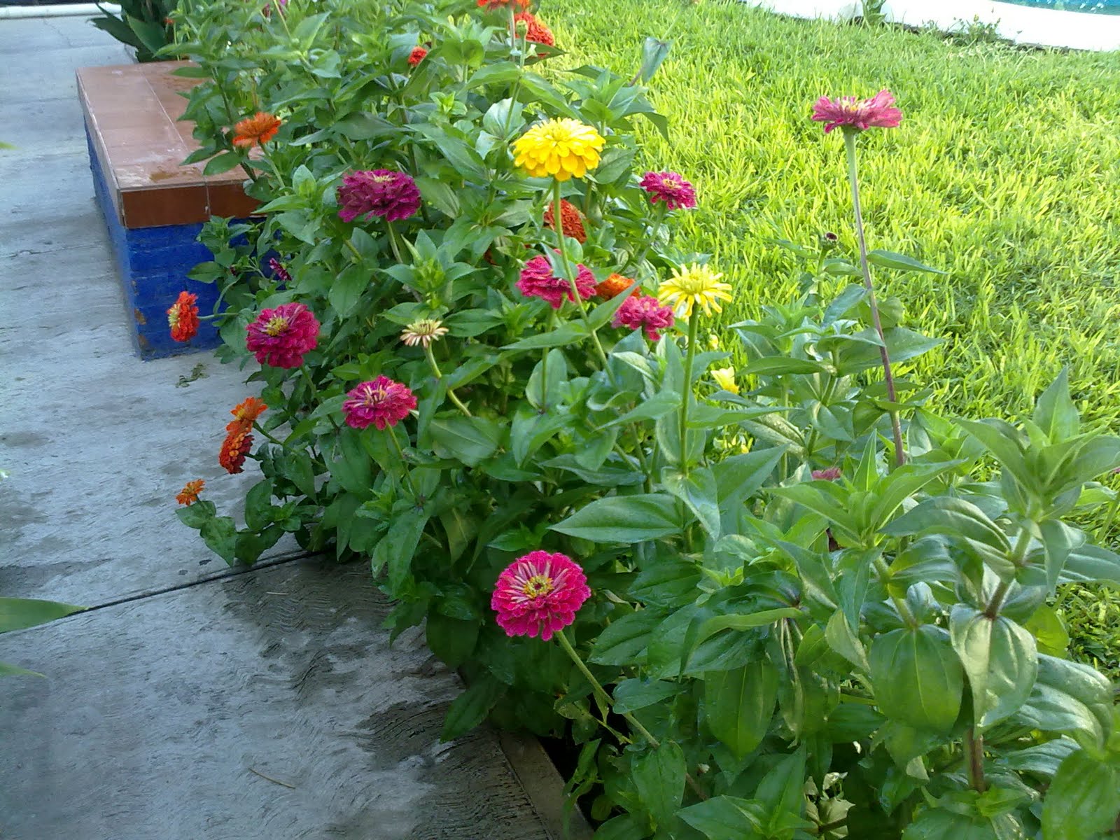 170820102764.jpg
