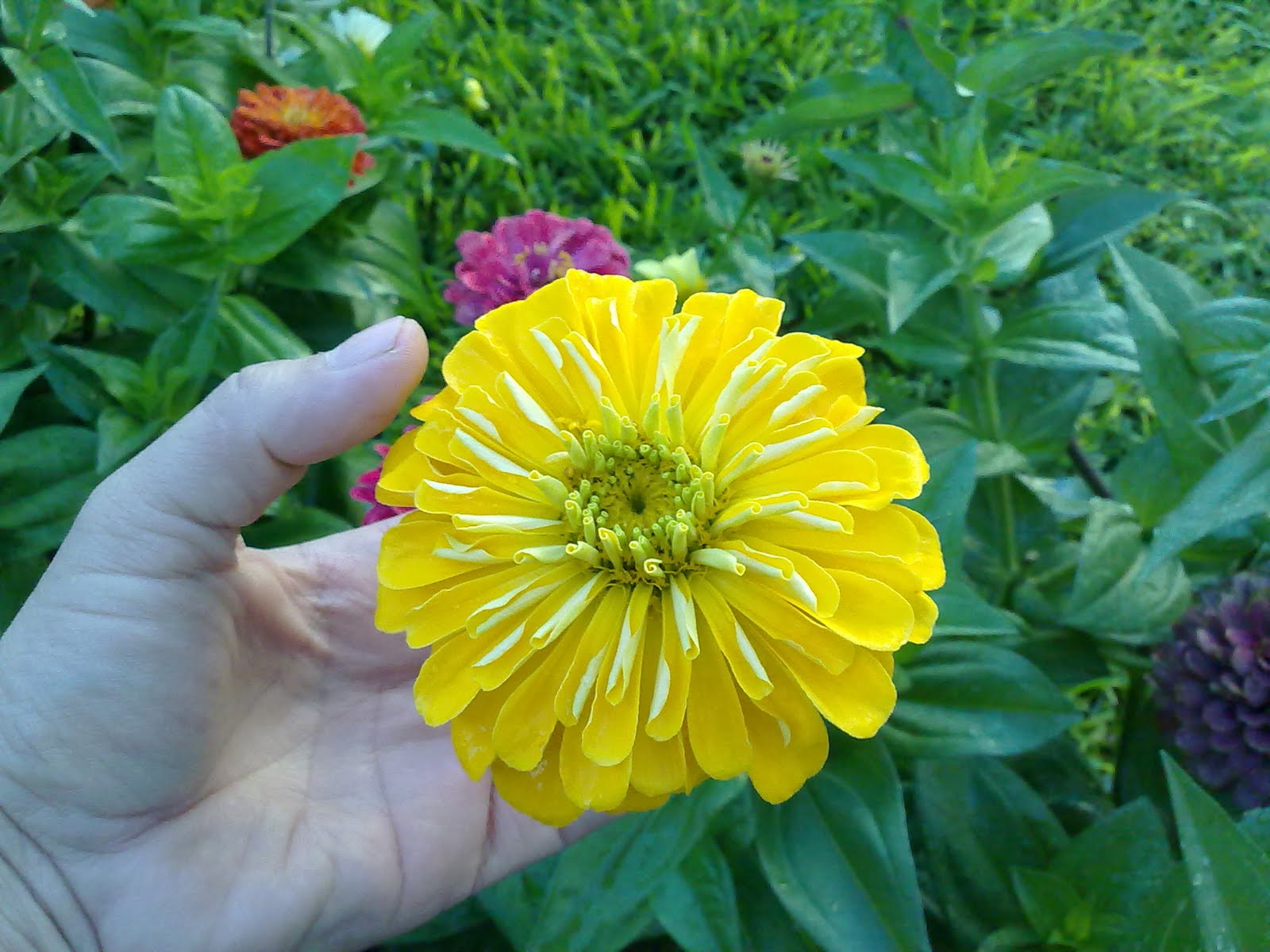 170820102777.jpg