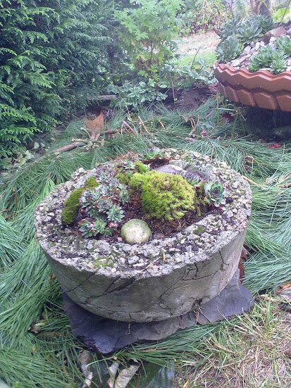 17102012111.jpg