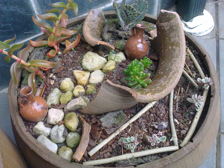 17102012118.jpg