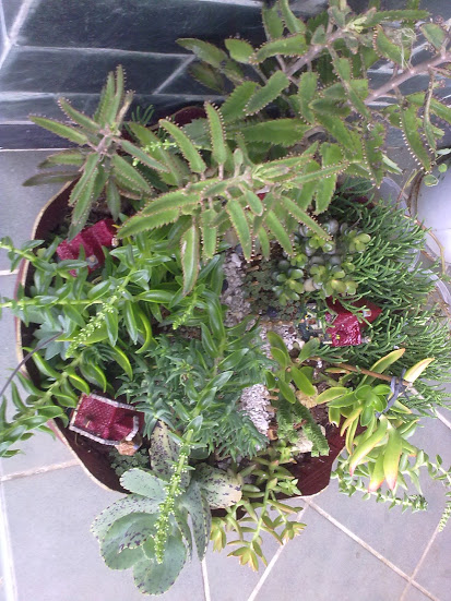 17102012120.jpg