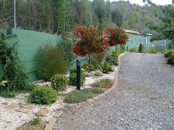 17494d1292533465-el-jardin-de-lola-en-murcia-callistemun.jpg