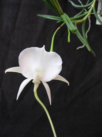 179_7957_Small_.JPG