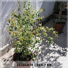 17ae6bd2334a6f13344c77b1ce2248a5o.jpg