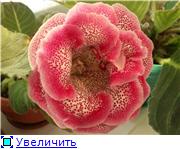 17c7d564de2ct.jpg