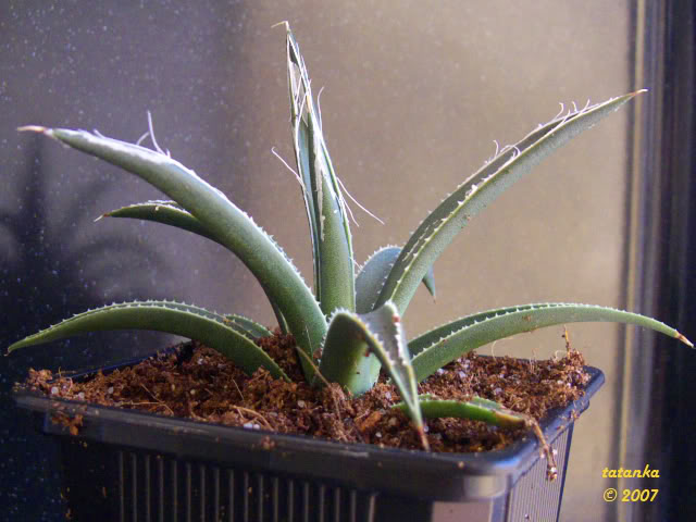 17P1000842.jpg