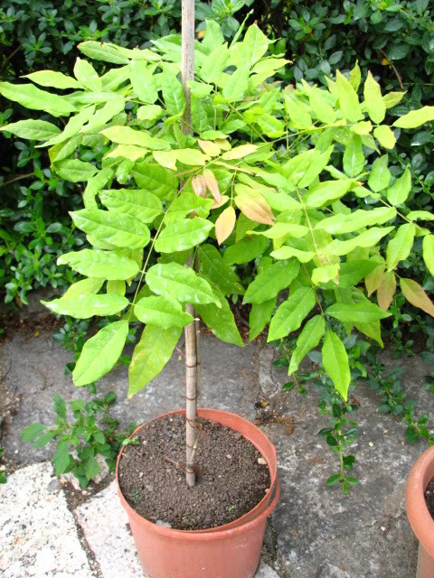 18-06-2007021.jpg