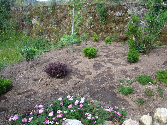 18-06-2007088.jpg