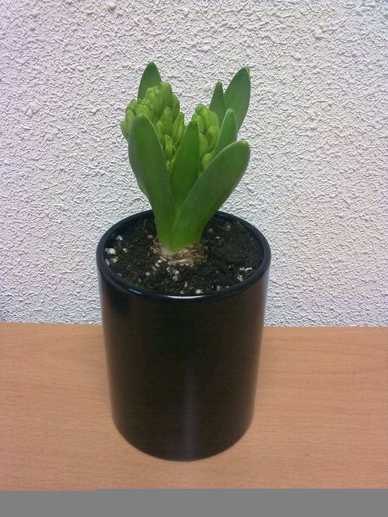 18012011153.jpg