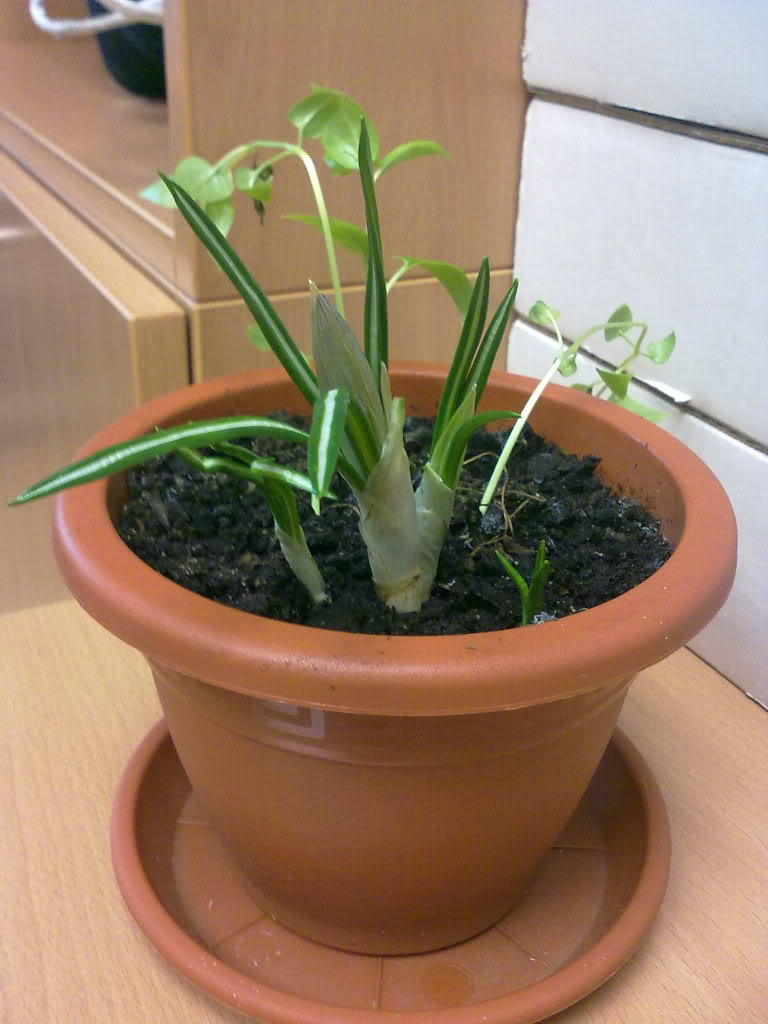 18012011155.jpg