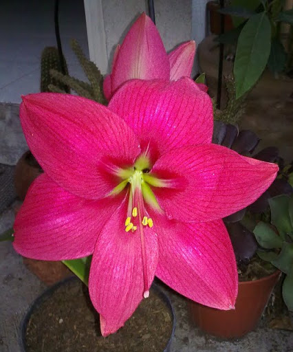 18022012716.jpg