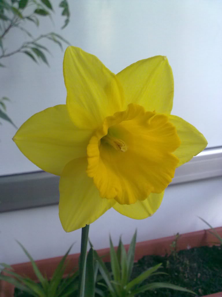 18032011217.jpg