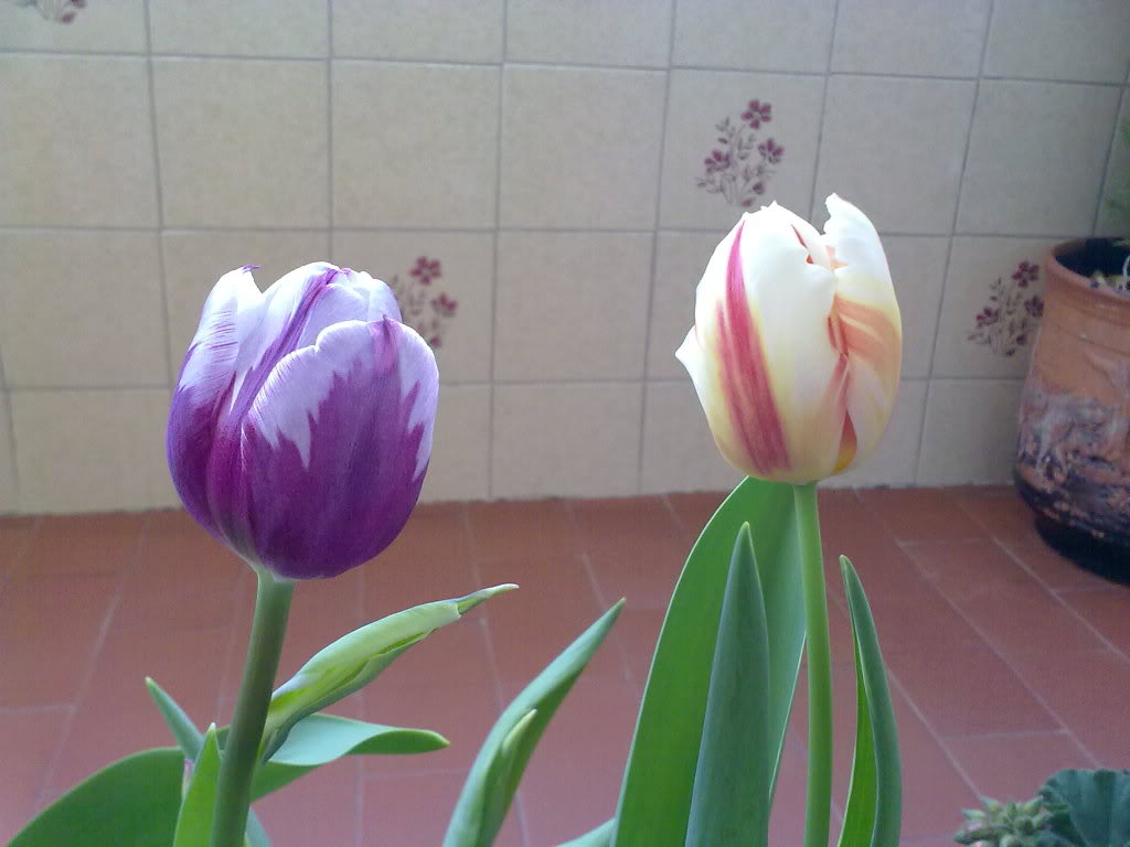 180420102073.jpg
