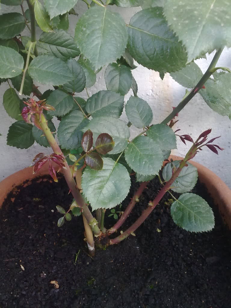 180420111448.jpg
