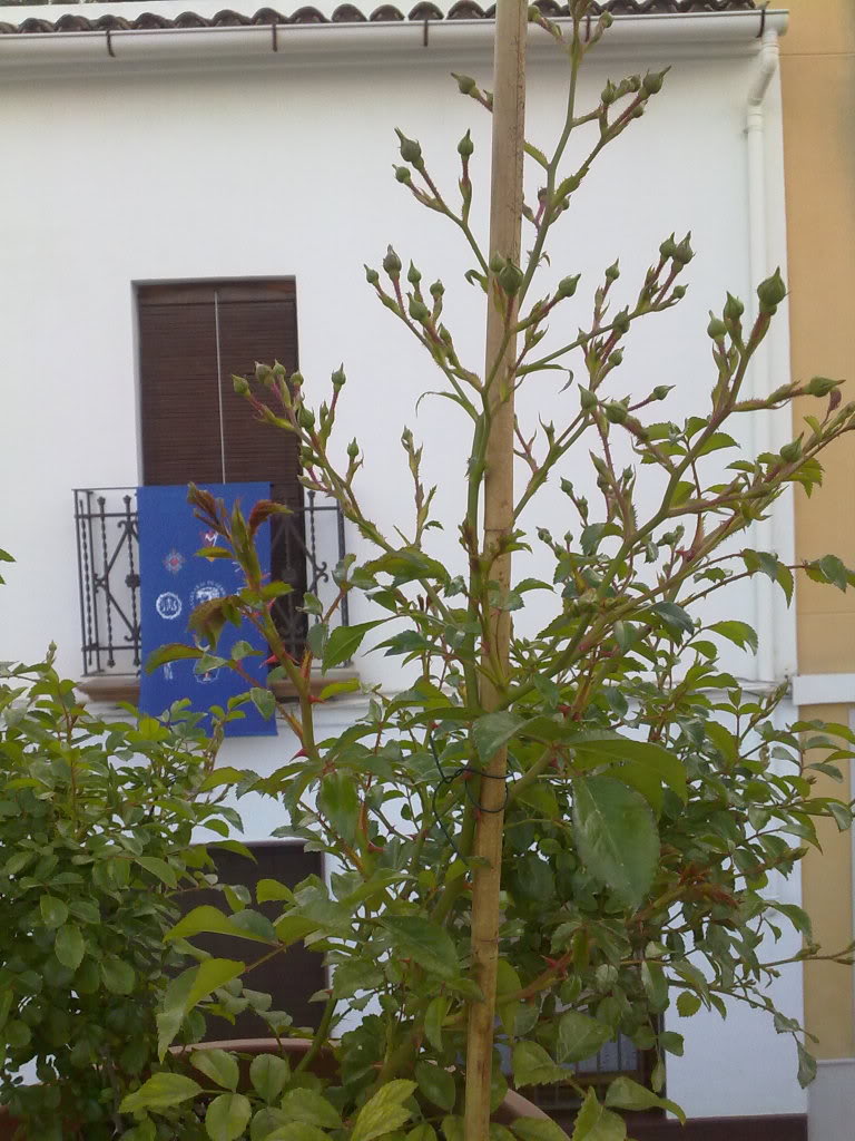 180420111458.jpg