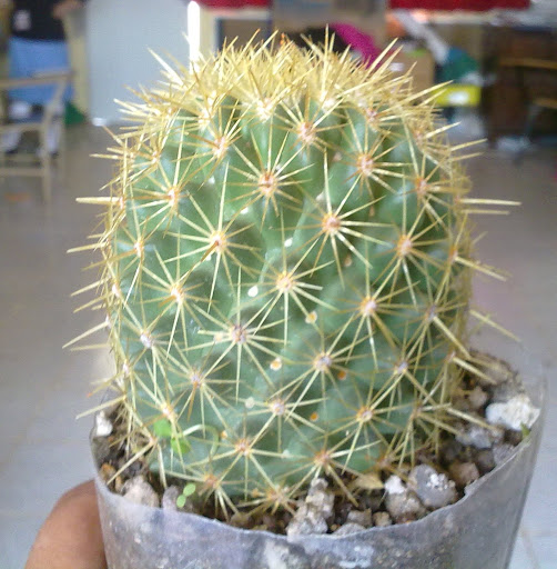 180420121306.jpg