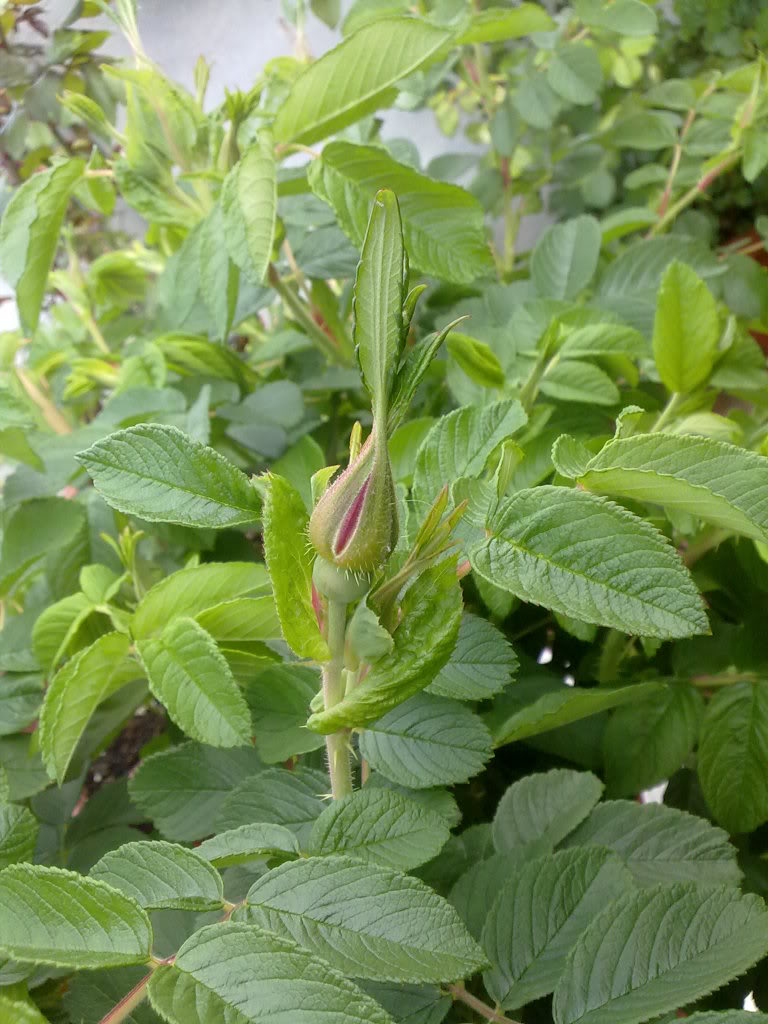180420122869.jpg