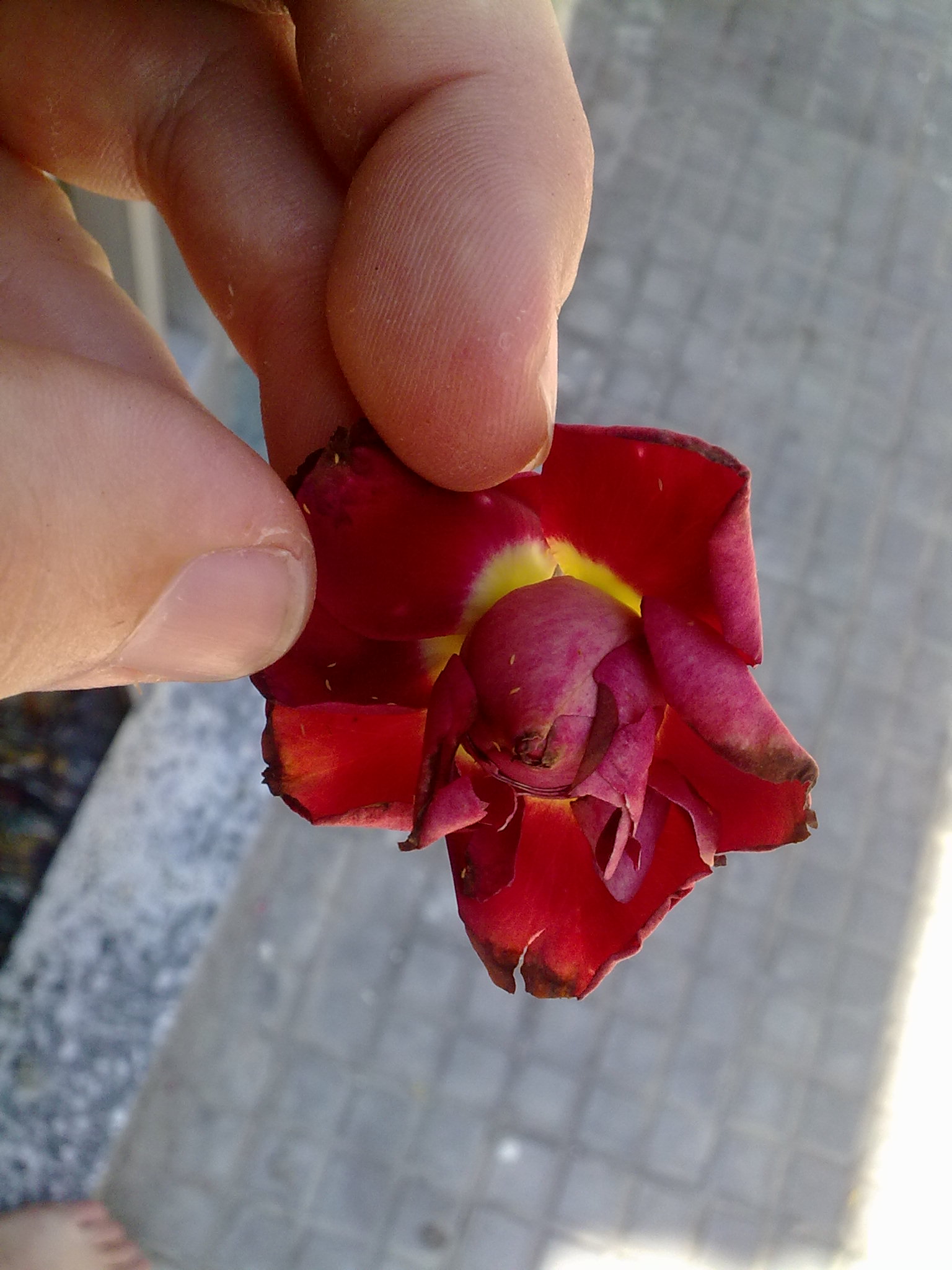 180620111965.jpg