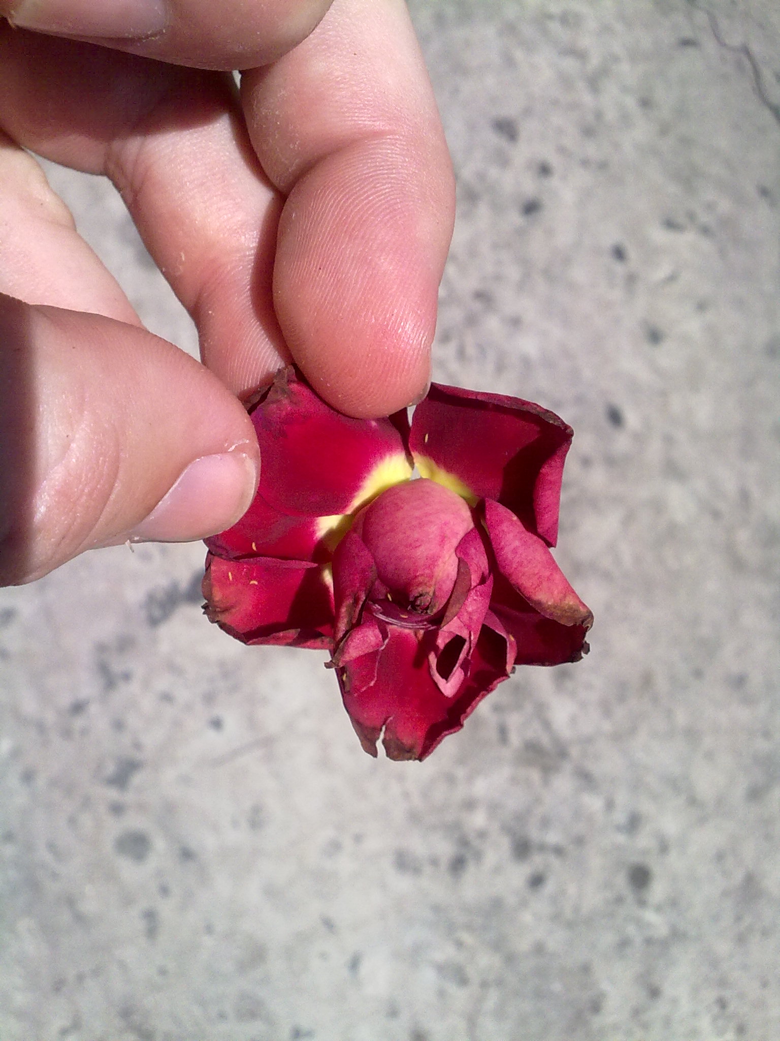 180620111966.jpg