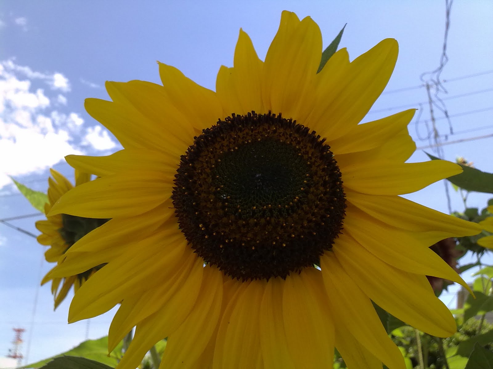 180820102807.jpg