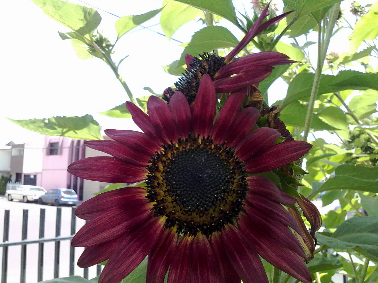 180820102810.jpg