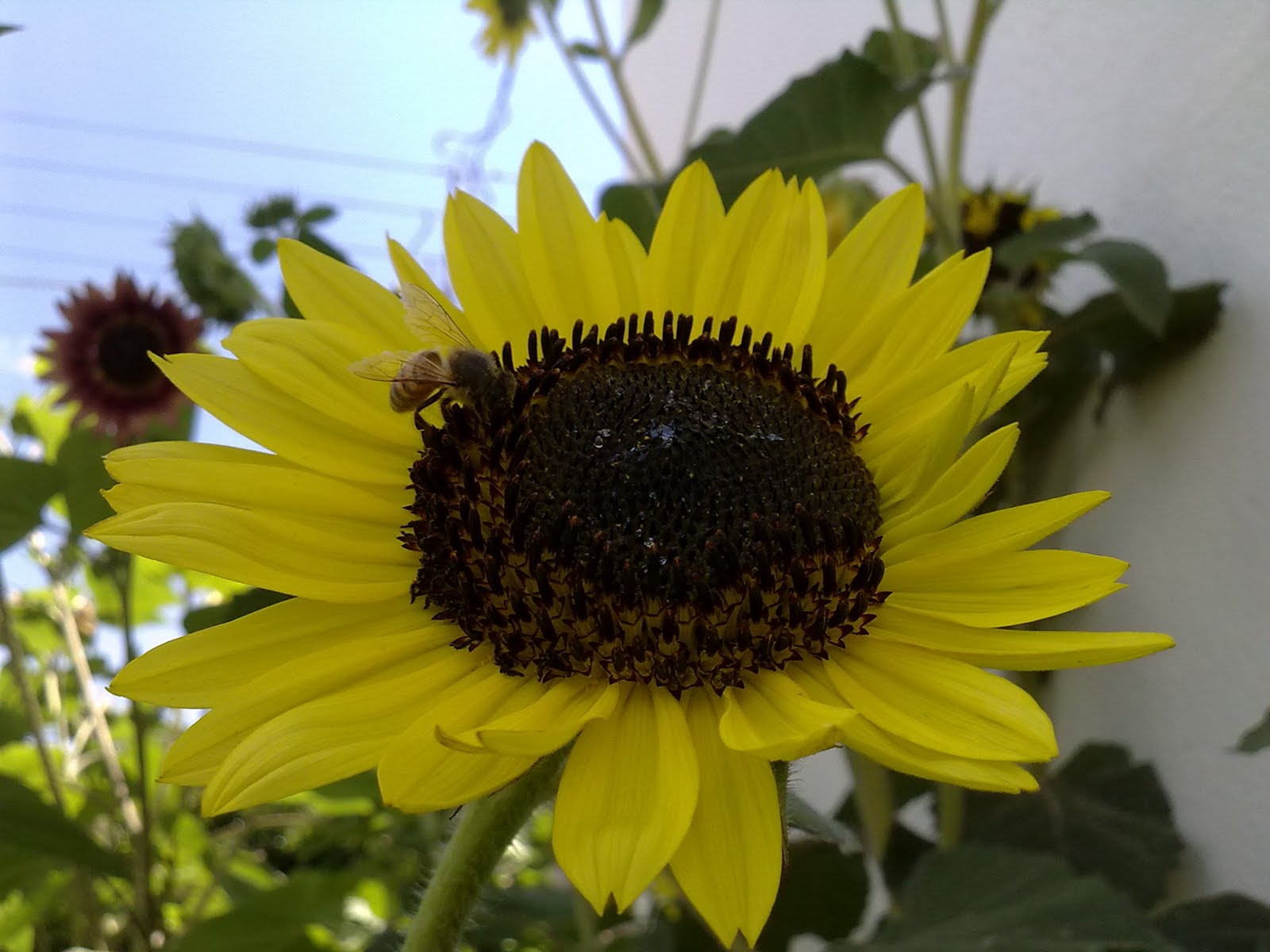 180820102812.jpg