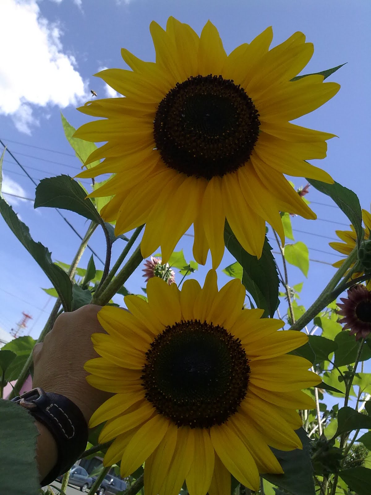 180820102813.jpg