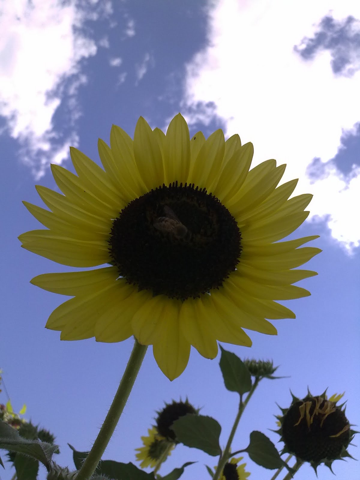 180820102817.jpg