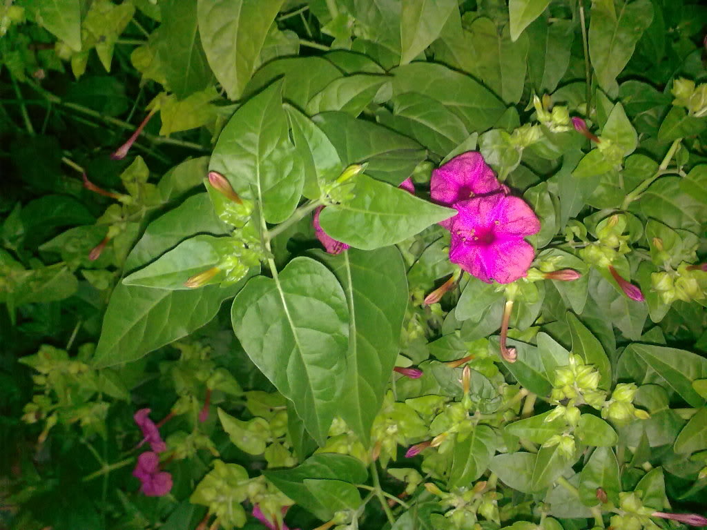 180920102371.jpg