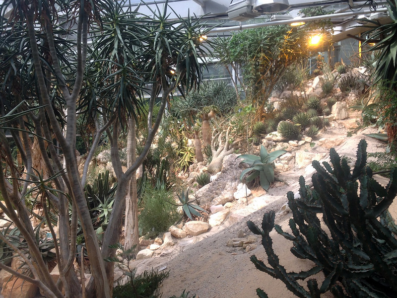 18310119421_54c139ac58_c.jpg