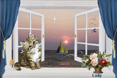1862616a0hx3501ay.gif