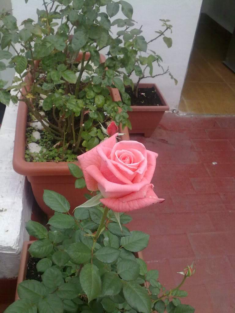 190120111121.jpg