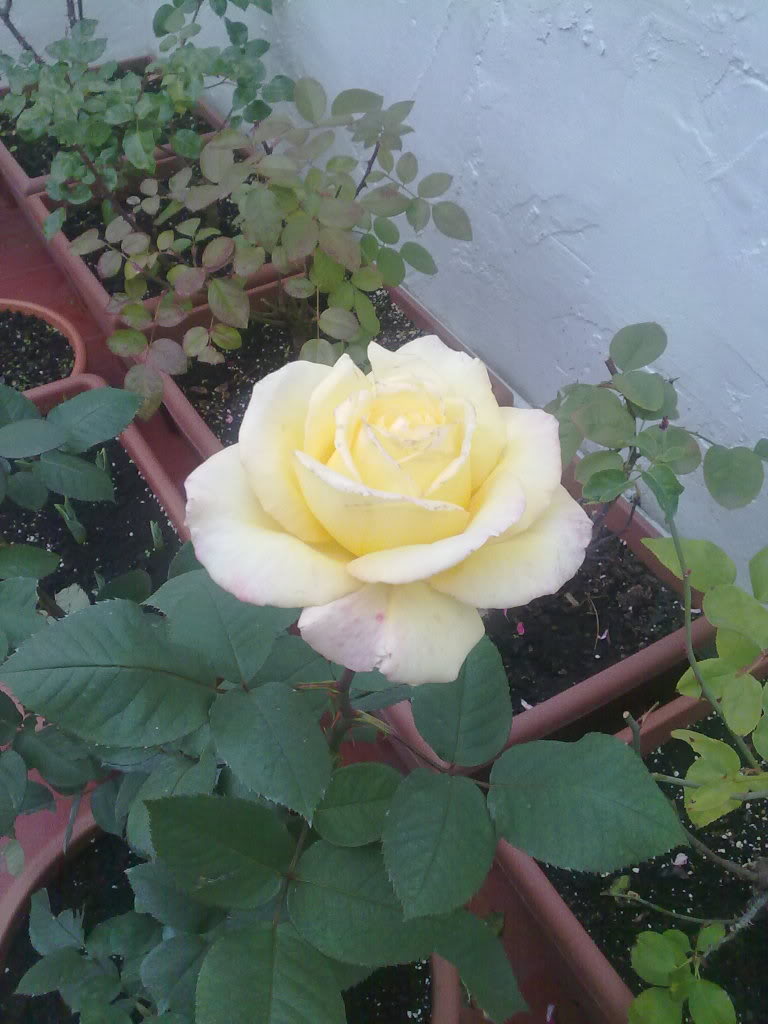 190120111126.jpg