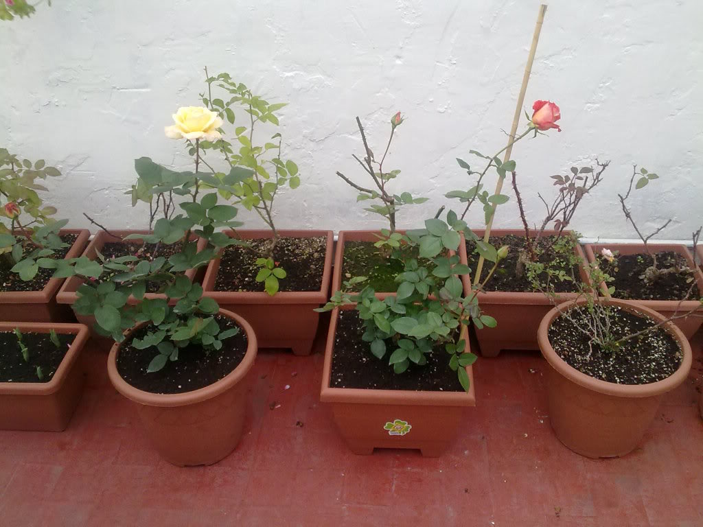 190120111131.jpg