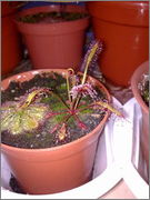 190320121569.jpg