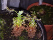 190320121633.jpg