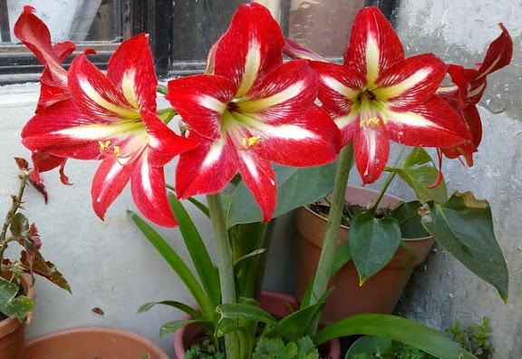 19032012907.jpg