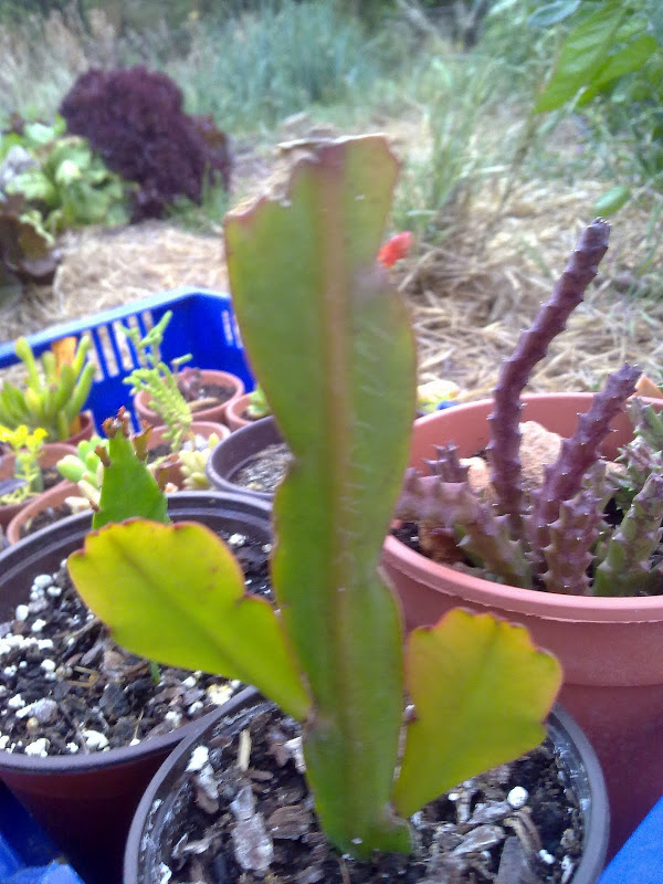 19052011186.jpg