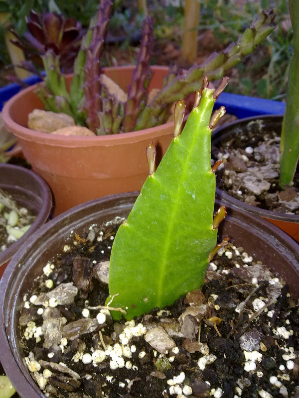 19052011187.jpg